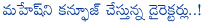 mahesh babu,director,confuse,tollywood directors,directors confused with mahesh,mahesh babu confused with tollywood directors,koratala siva,sukumar